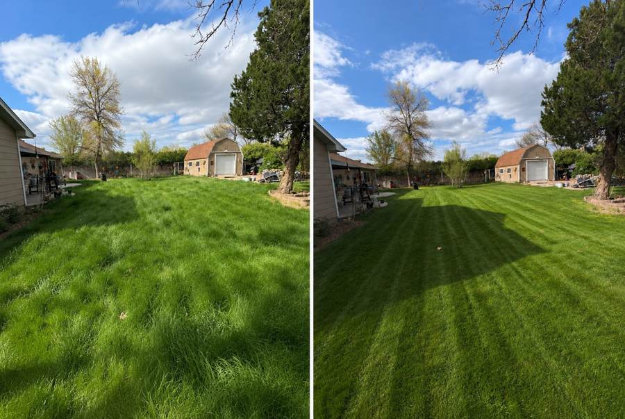 Rapid City lawn before and after a professional mow, showing overgrown grass cut into clean striped lines