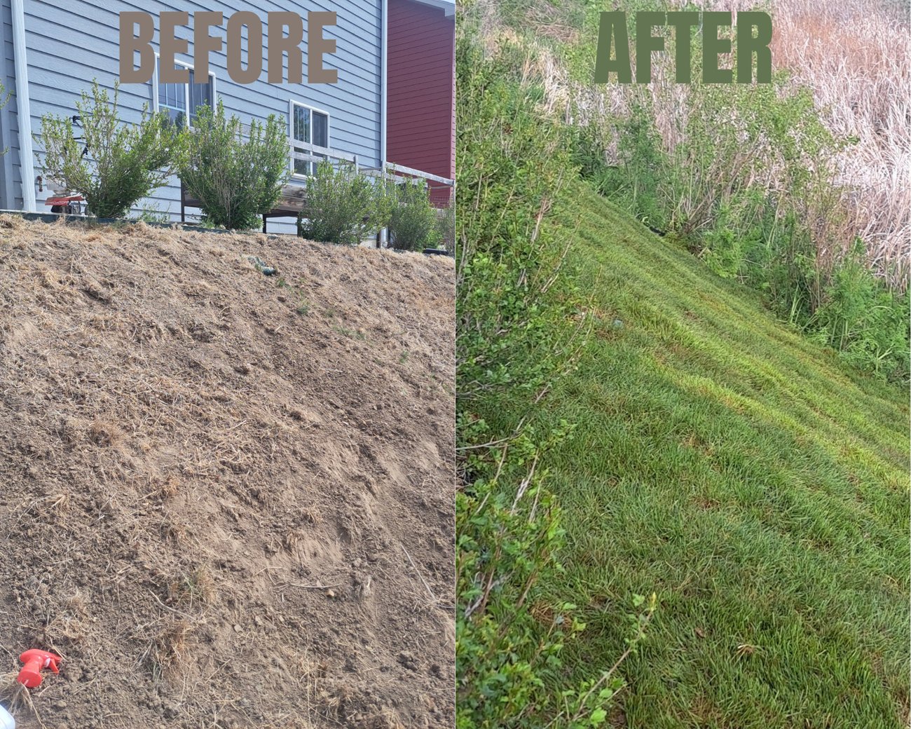 Yard before and after sod installation in Rapid City, SD
