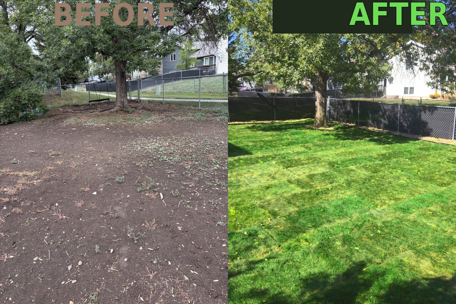 Backyard before and after new sod, bare dirt under a shade tree turned into a full green lawn