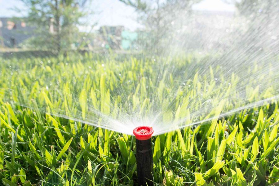 Sprinkler head watering a lawn in Rapid City SD