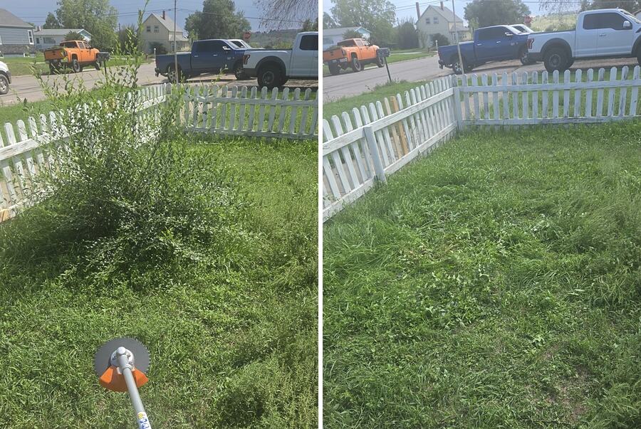 Overgrown shrub crowding a white picket fence in a Rapid City yard, then the same corner cut back and cleared out